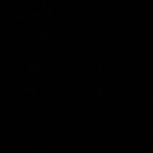 Meet your Posher, Rebeca